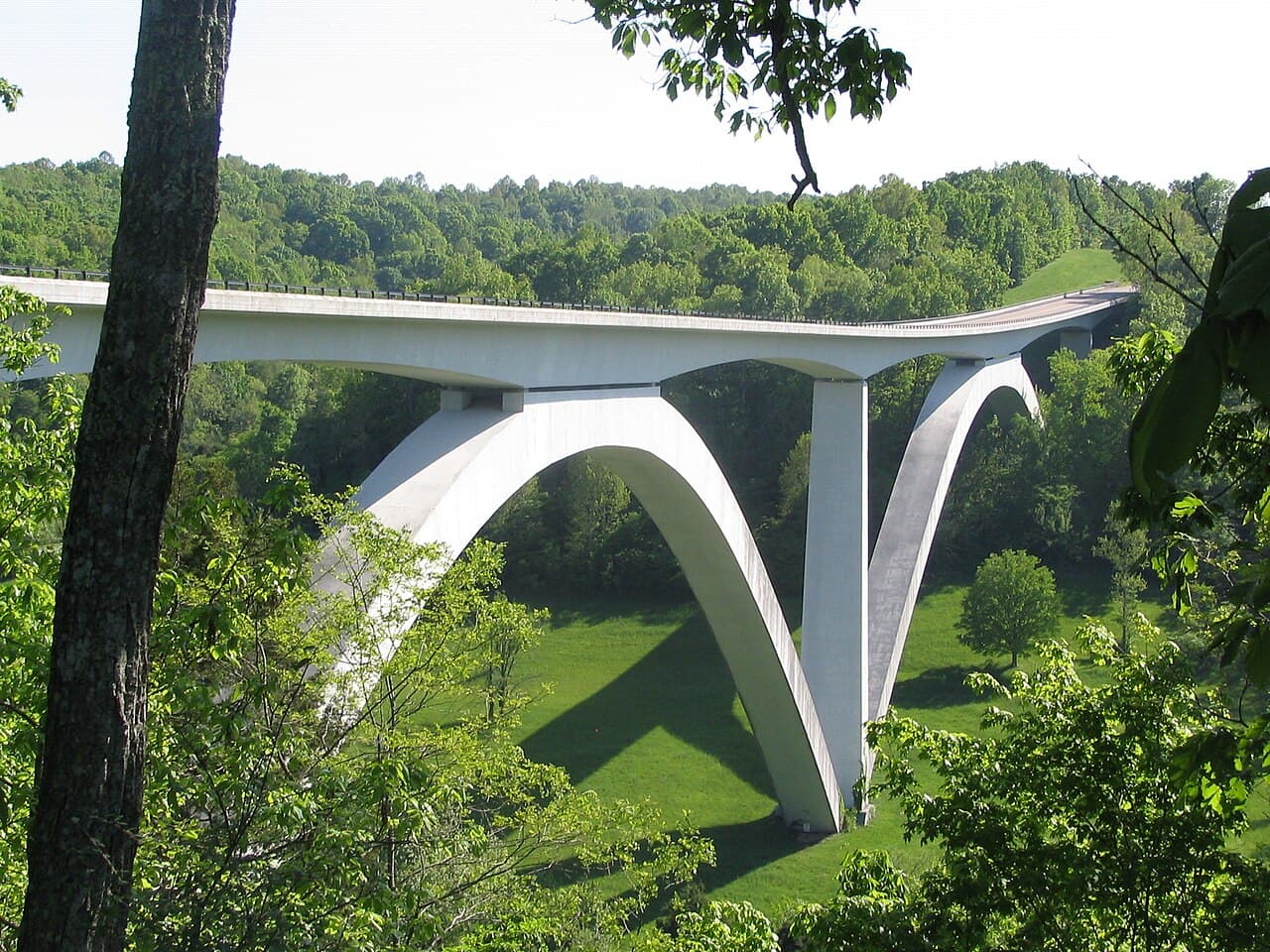 The parkway's white concrete double arch bridge carrying two lanes across Birdsong Hollow, photographed through summer foliage from the overlook, its two arches meeting on a single central pier above a mown green field