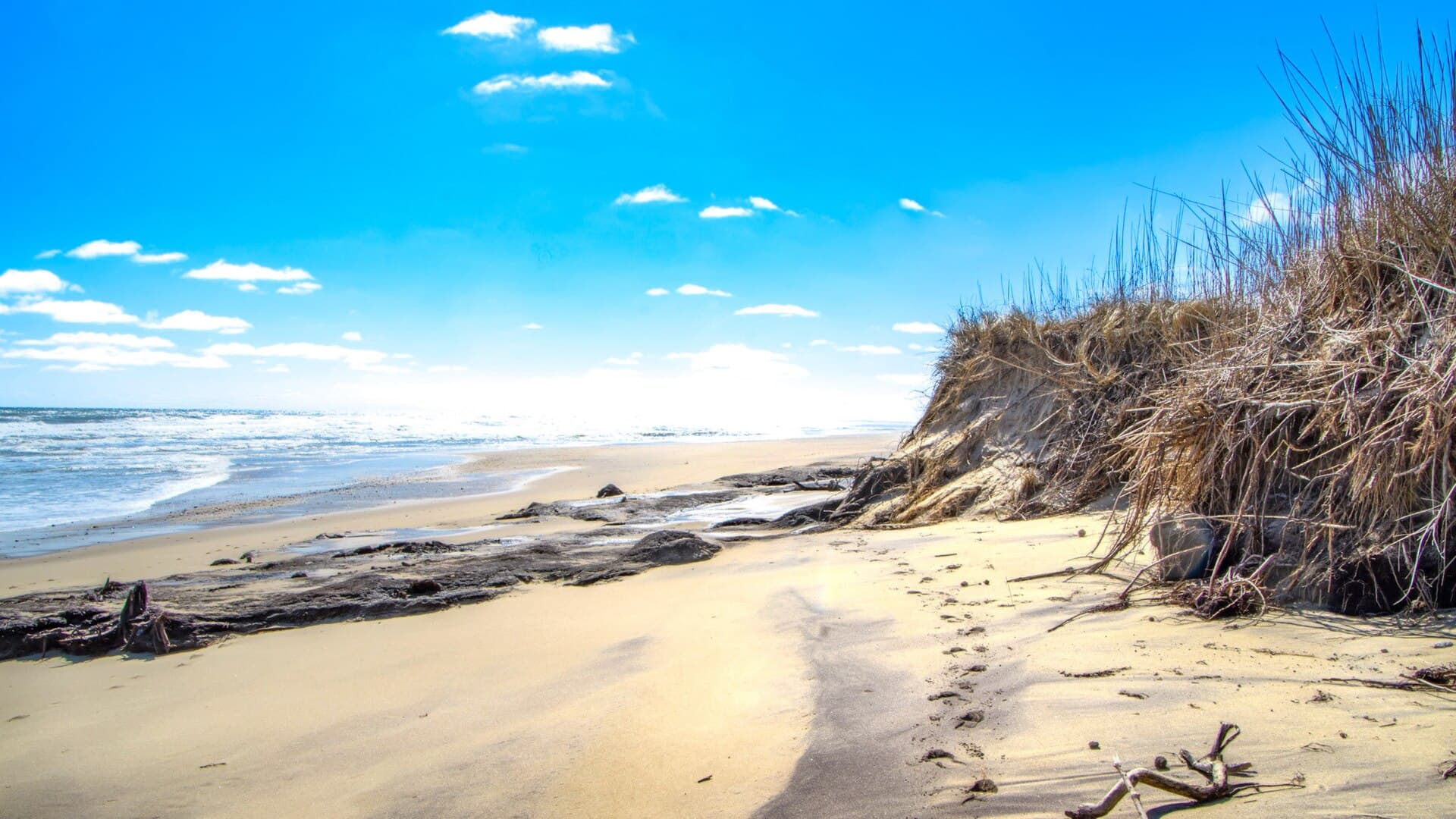 Coast Guard Beach at Eastham, an empty run of pale sand curving away under a blue sky, with a grassy dune bank crumbling onto the beach at the right