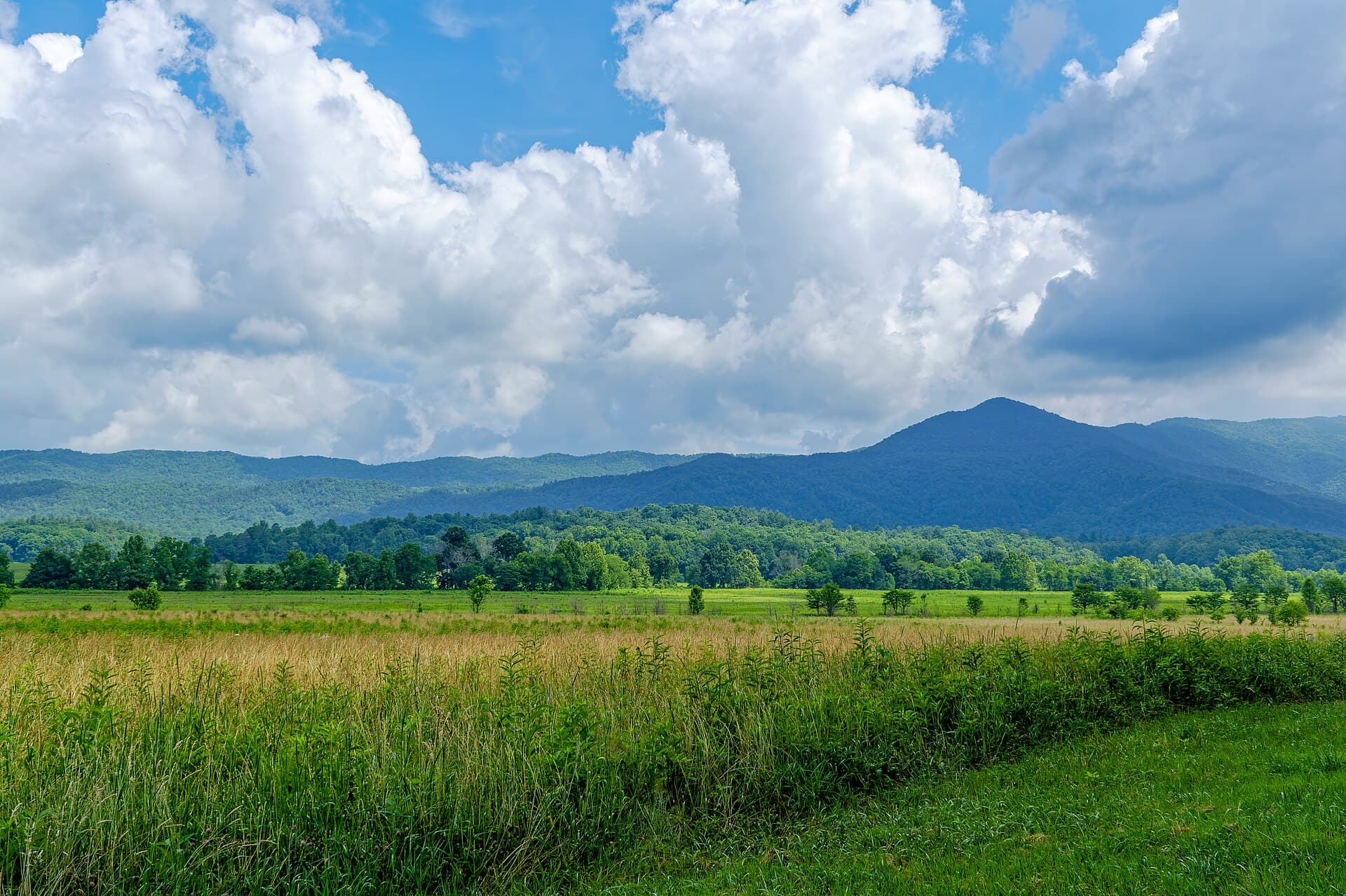 The open fields of Cades Cove under summer cumulus, mown grassland running to a treeline with the forested wall of the Smokies rising behind it